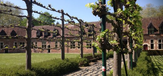 SVM Support Vector Machine Machines Big Data Tips Machine Learning Mining Tools Analysis Analytics Algorithms Clustering Regression Tool