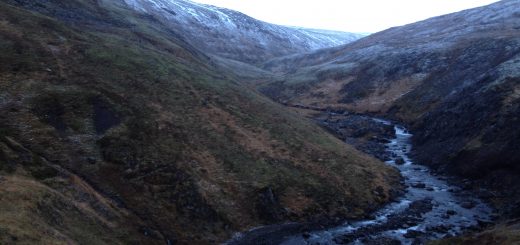 Data Service Center Data Center User Services Operations Big Data Tips Machine Learning Mining Tools Analysis Analytics Algorithms Clustering Tool