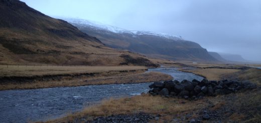 FP Growth Frequent Pattern Algorithm Association Rules Big Data Tips Machine Learning Mining Tools Analysis Analytics Algorithms Clustering Tool