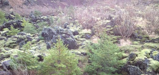 The Social Network Online Social Networking Cloud Computing Big Data Tips Machine Learning Mining Tools Analysis Analytics Algorithms Clustering