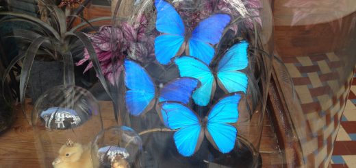 Graph Database Large-scale Graph Processing Frameworks Big Data Tips Mining Tools Analysis Analytics Algorithms Classification Clustering Regression