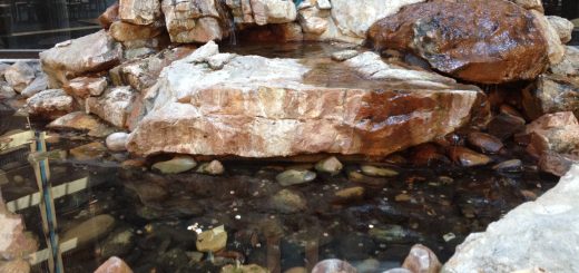 SVM Train Parameters Support Vector Machine Training LibSVM Kernel Methods Big Data Tips Tools Analysis Analytics Algorithms Classification Clustering