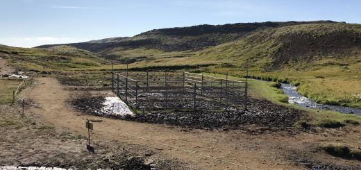 AlexNet Standard Architecture Pre-Trained Model Convolutional Neural Network CNN Deep Learning Big Data Tips Analysis Analytics Algorithms Classification