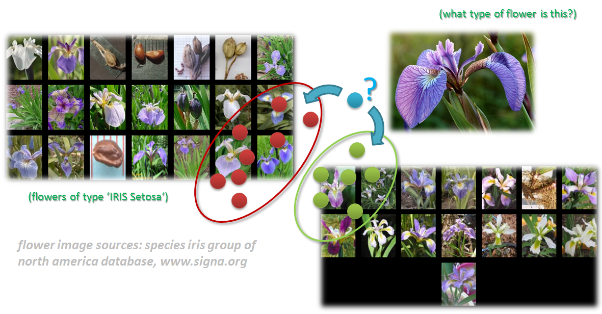 Iris Flower Classification