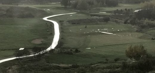 Plot Function R Example Draw Curve Figure Graph Plotter Statistical Computing with R Math Drawing 2d Plot Function Graph Generator Points Hyperbolic tanh