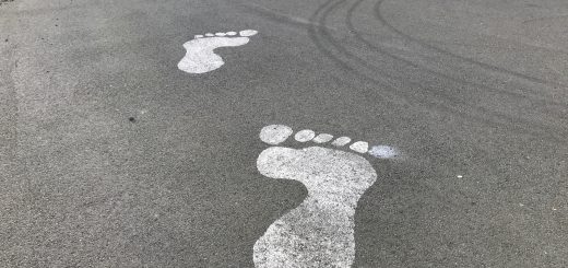 RapidMiner Data Science Platform RapidMiner Studio RapidMiner Server RapidMiner AutoModel RapidMiner Radoop Apache Hadoop Apache Spark Tensorflow Keras