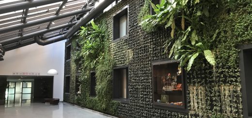 ReLU Neural Network Rectified Linear Unit Rectifier Activation Function Artificial Neural Networks Deep Learning Ramp Function Nonlinear Activation Function