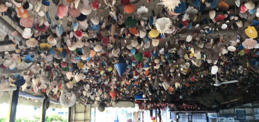 Deep Learning AMI Amazon Machine Image Amazon Web Services Elastic Compute Cloud EC2 TensorFlow PyTorch MXNET CNTK Caffe Chainer Theano cuDNN CUDA Keras