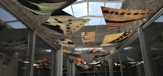 Qubit Quantum Bit Quantum Computing Quantum Computer Superposition Entanglement Quantum Systems Electron Nucleus Calculations Decoherence Encryption States