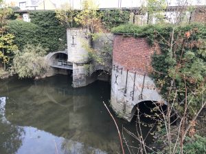 Euler Equation Fluid Dynamics Eulerian Functions Materials Fluids Liquids Velocity Pressure Density Kinematic Viscosity External Forces Navier-Stokes Model