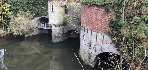 Euler Equation Fluid Dynamics Eulerian Functions Materials Fluids Liquids Velocity Pressure Density Kinematic Viscosity External Forces Navier-Stokes Model