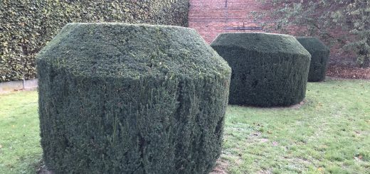 Sequence to Sequence Learning with Neural Networks Time Prediction Natural Language Processing Machine Translation Automatic Video Captioning RNN