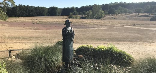 Precision Medicine Stratified Medicine P4 Medicine Personalized Medicine Molecular Biomarkers Behavioral Biomarkers Patients Medical Decisions Predictive